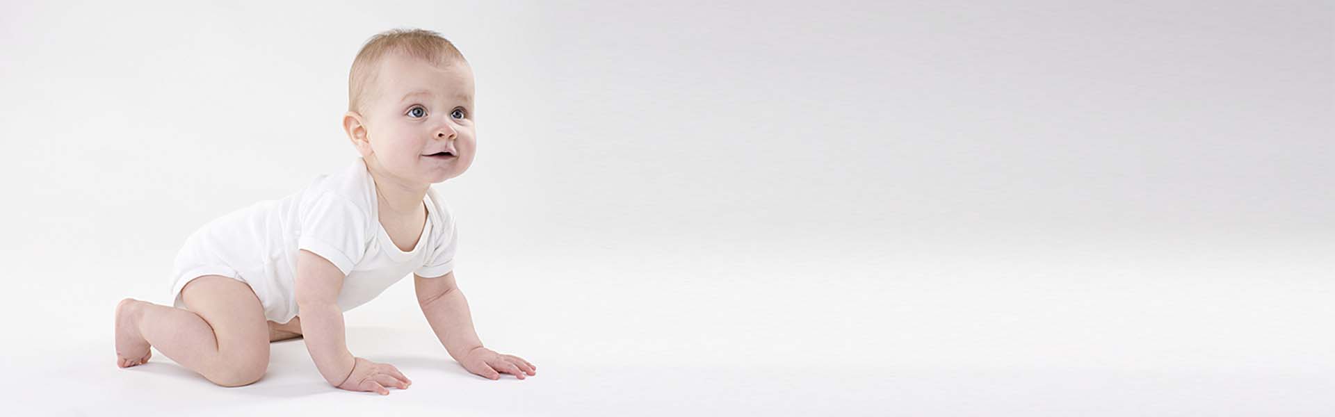 travessas de bambu no atacado