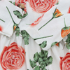 Conjunto de roupas de bebê meninas de manga longa por atacado Conjunto de pijamas de bebê causais ecológicos de fábrica Conjunto de roupas de tecido de algodão elastano de bambu
